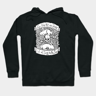 Neutral Milk Hotel - In the Aeroplane Over the Sea - Illstrated Lyrics - Black & White Version Hoodie